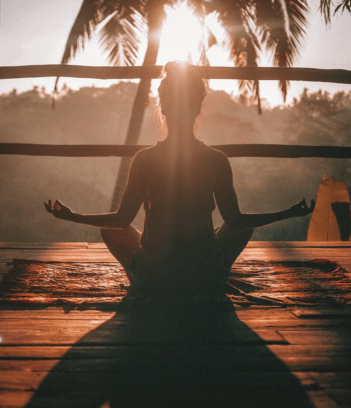 Why Synergetic Bio Health Stands Out in the Wellness Industry